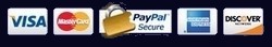 PayPal Logo